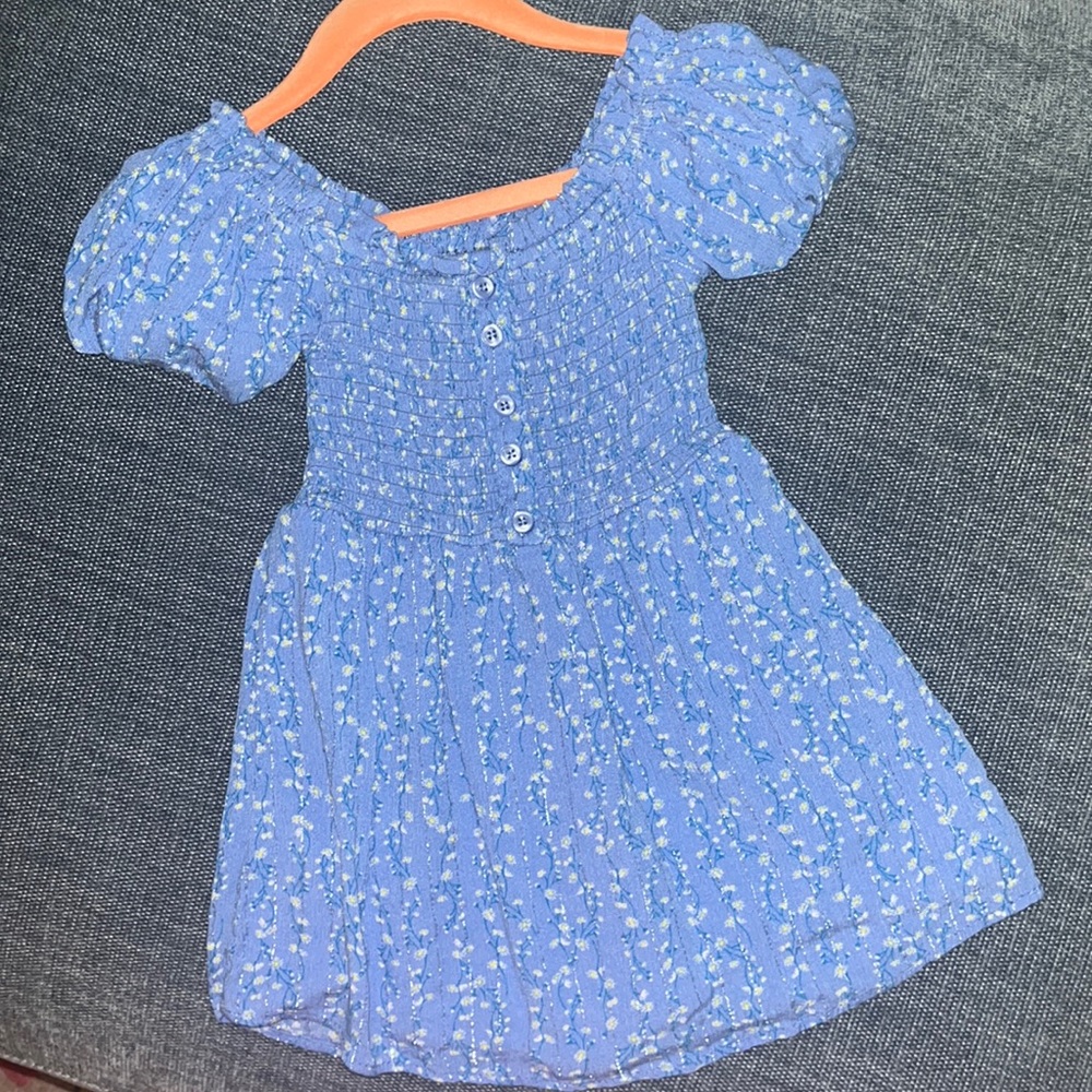 Toddler girls BCBG Girls blue floral dress.